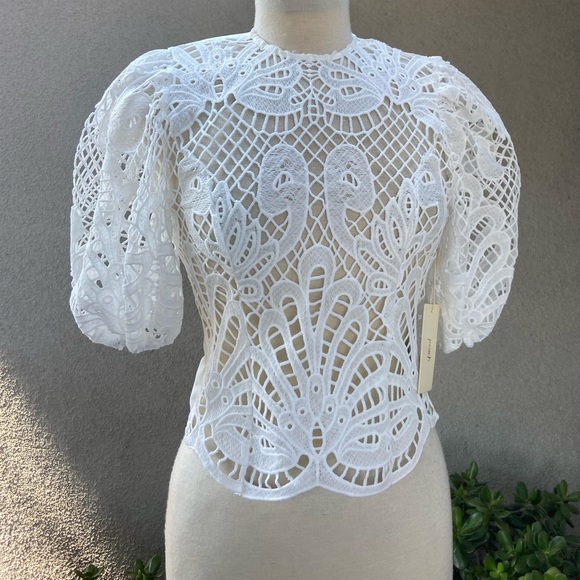 Peach Clothing NWT white front sheer lace top back zipper size Small - Picture 1 of 10